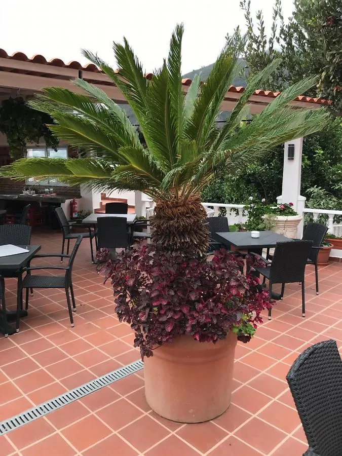 Max Chasma Aparthotel La Orotava 0*,